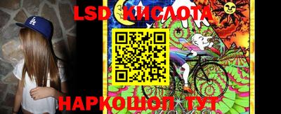 стафф Краснознаменск