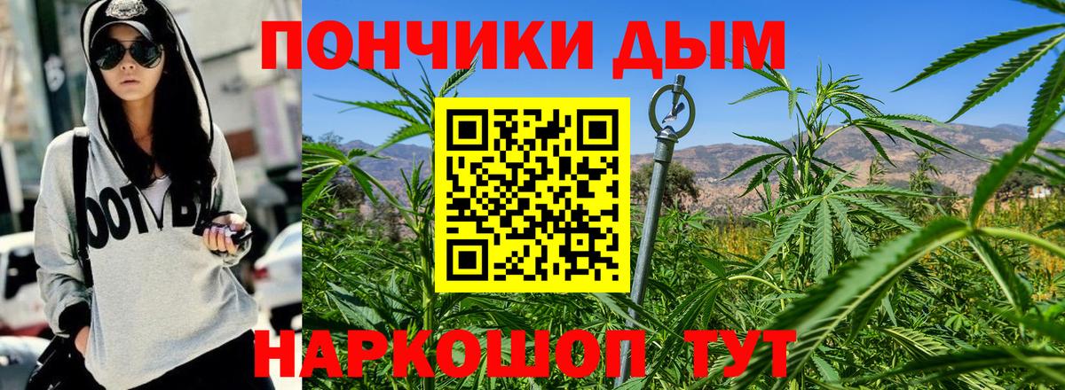Конопля семена  Вход с VPN  Изобильный  Каннабис VHQ  Бошки марихуана Ganja 